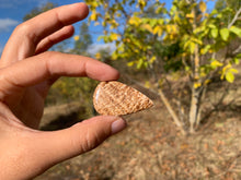 Charger l'image dans la galerie, Calcite 21
