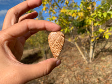 Charger l'image dans la galerie, Calcite 21
