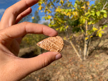 Charger l'image dans la galerie, Calcite 21