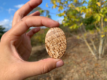 Charger l'image dans la galerie, Calcite 22