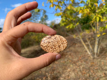 Charger l'image dans la galerie, Calcite 22