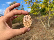 Charger l'image dans la galerie, Calcite 22