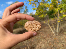 Charger l'image dans la galerie, Calcite 22