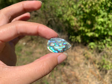 Charger l'image dans la galerie, VENDU Abalone 42