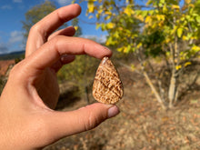 Charger l'image dans la galerie, Calcite 23