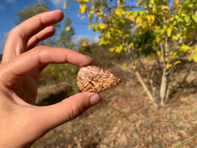 Charger l'image dans la galerie, Calcite 23
