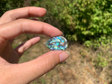 Charger l'image dans la galerie, VENDU Abalone 42