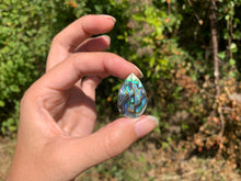 Charger l'image dans la galerie, VENDU Abalone 42