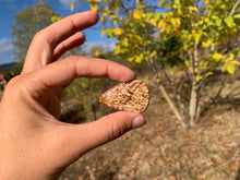 Charger l'image dans la galerie, Calcite 23
