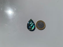 Charger l'image dans la galerie, VENDU Abalone 42