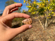 Charger l'image dans la galerie, VENDU Calcite 24