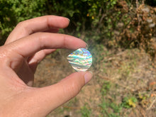 Charger l'image dans la galerie, VENDU Abalone 43