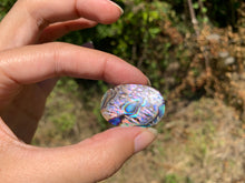 Charger l'image dans la galerie, VENDU Abalone 44