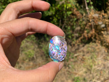 Charger l'image dans la galerie, VENDU Abalone 44