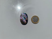 Charger l'image dans la galerie, VENDU Abalone 44