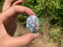 Charger l'image dans la galerie, VENDU Abalone 46