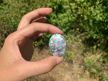 Charger l'image dans la galerie, VENDU Abalone 46