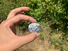 Charger l'image dans la galerie, VENDU Abalone 46