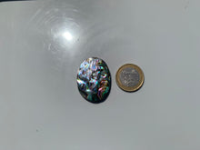 Charger l'image dans la galerie, VENDU Abalone 46