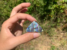 Charger l'image dans la galerie, VENDU Abalone 47