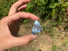 Charger l'image dans la galerie, VENDU Abalone 47