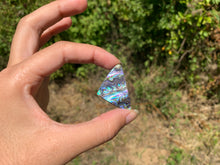 Charger l'image dans la galerie, VENDU Abalone 47