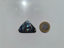 Charger l'image dans la galerie, VENDU Abalone 47