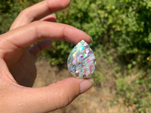 Charger l'image dans la galerie, VENDU Abalone 48