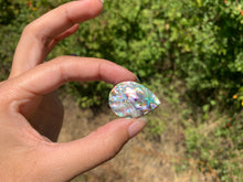 Charger l'image dans la galerie, VENDU Abalone 48