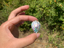 Charger l'image dans la galerie, VENDU Abalone 48