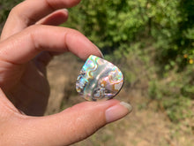 Charger l'image dans la galerie, VENDU Abalone 49