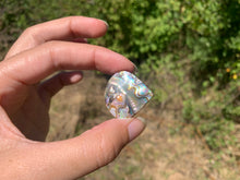 Charger l'image dans la galerie, VENDU Abalone 49