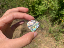 Charger l'image dans la galerie, VENDU Abalone 49