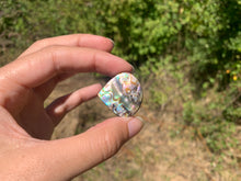 Charger l'image dans la galerie, VENDU Abalone 49