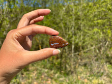 Charger l'image dans la galerie, Agate mousse 26