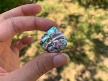 Charger l'image dans la galerie, VENDU Abalone 49