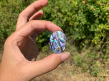 Charger l'image dans la galerie, VENDU Abalone 51