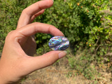 Charger l'image dans la galerie, VENDU Abalone 51