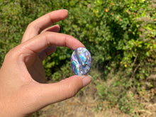 Charger l'image dans la galerie, VENDU Abalone 51