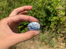 Charger l'image dans la galerie, VENDU Abalone 51