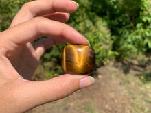 Charger l'image dans la galerie, Oeil de tigre 27