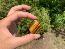 Charger l'image dans la galerie, Oeil de tigre 29