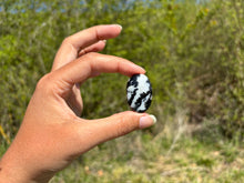 Charger l'image dans la galerie, Jaspe Zebré 5