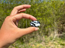 Charger l'image dans la galerie, Jaspe Zebré 5