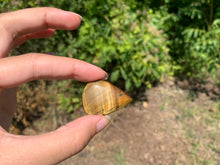 Charger l'image dans la galerie, Oeil de tigre 31