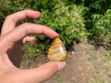 Charger l'image dans la galerie, Oeil de tigre 31