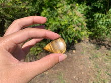 Charger l'image dans la galerie, Oeil de tigre 31