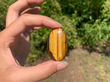 Charger l'image dans la galerie, Oeil de tigre 33