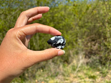 Charger l'image dans la galerie, Jaspe Zebré 7