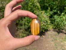 Charger l'image dans la galerie, Oeil de tigre 33